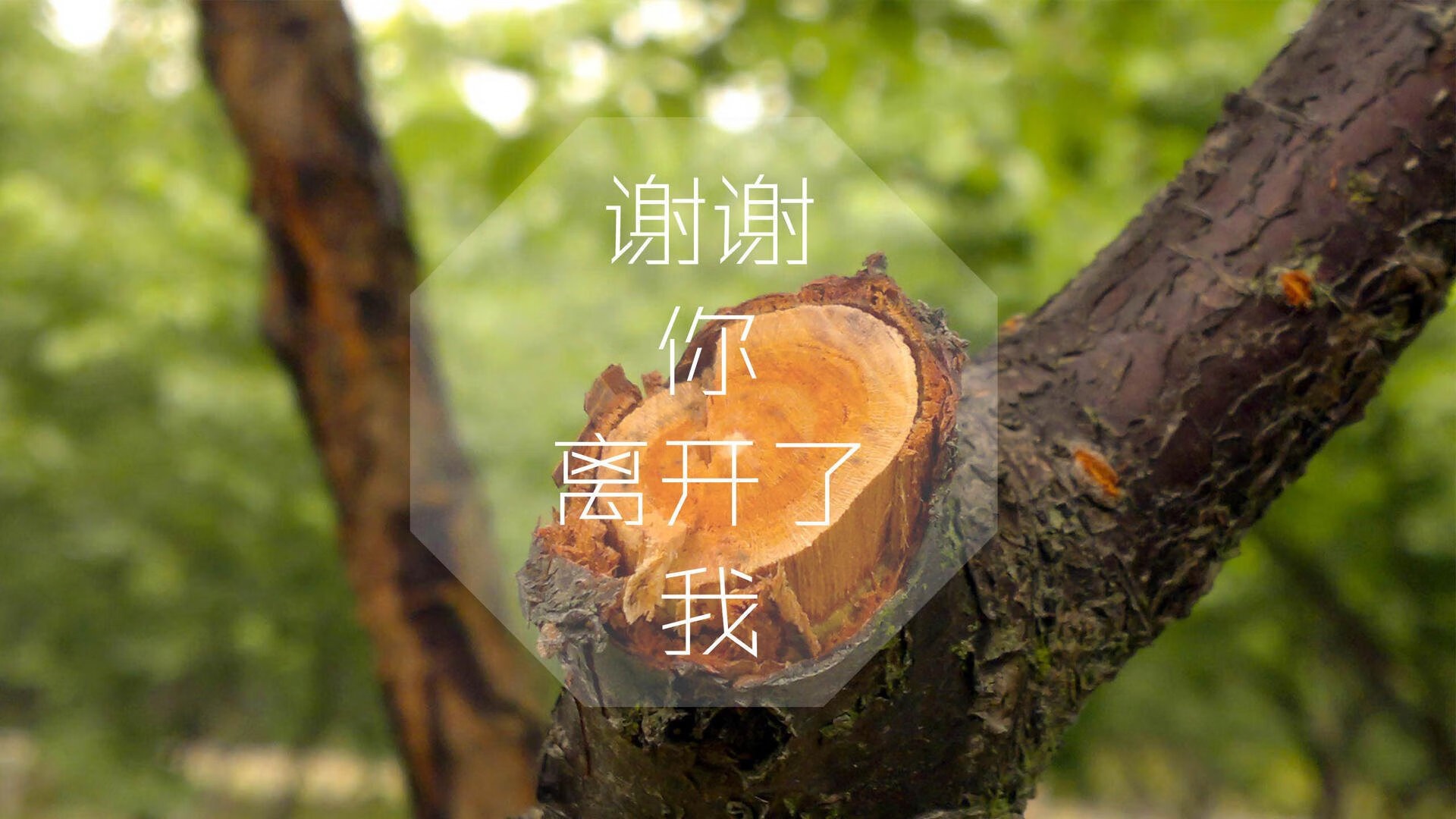 开云·Kaiyun网页版-Team Liquid跨界合作进军潮流市场，teamliquid net