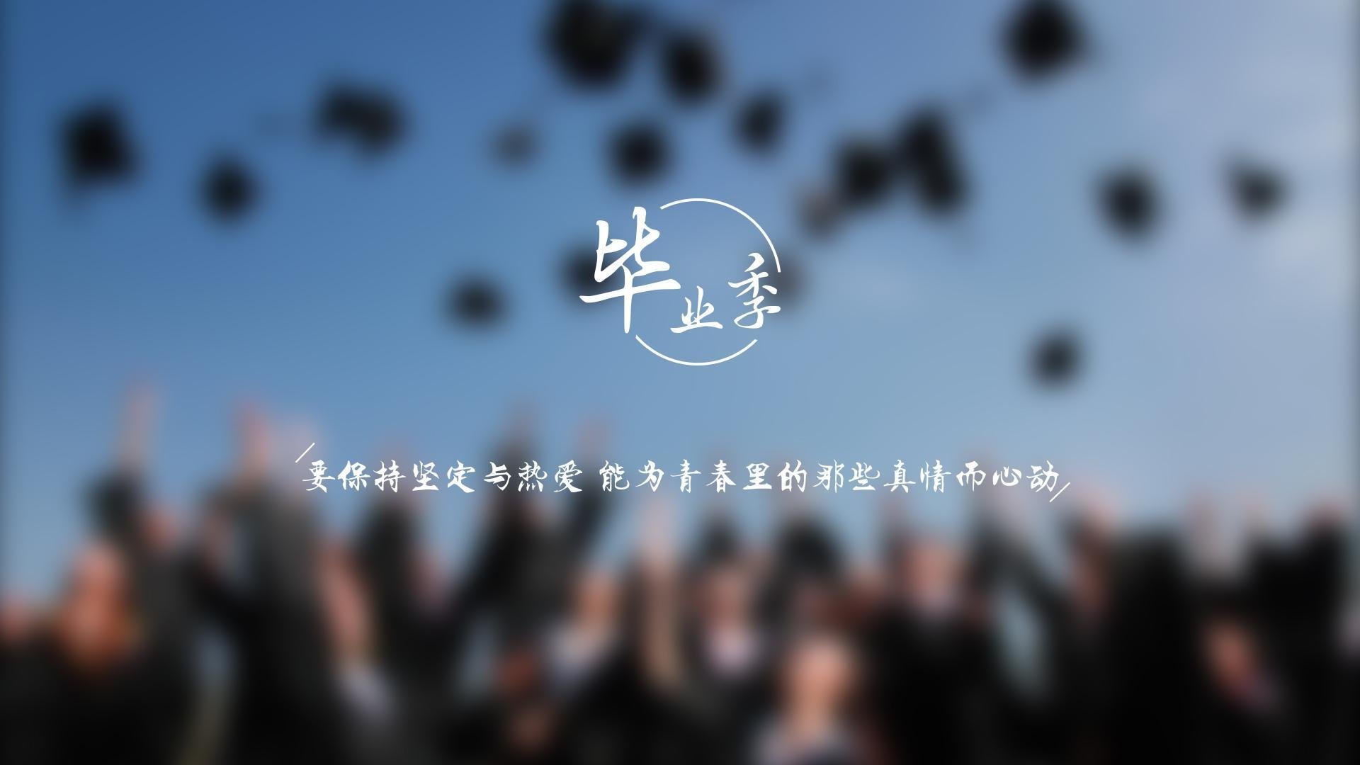 中国篮球教练员执教风格与球队战术执行力相关性研究，中国篮球教练员的等级结构