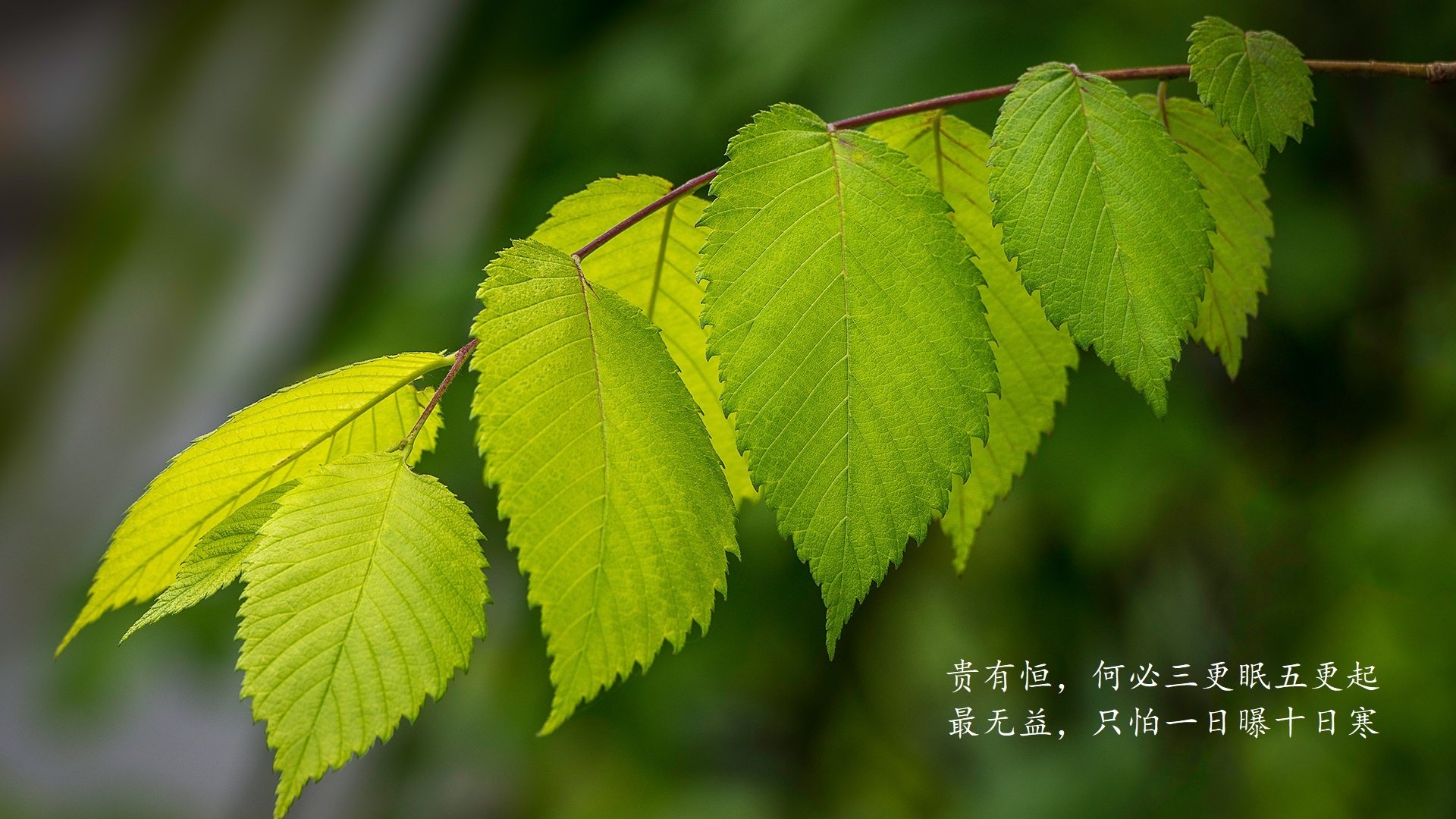 kaiyun开云·官方网站-中小学体育课堂教学改革实践与效果评估，中学体育课堂改革研究