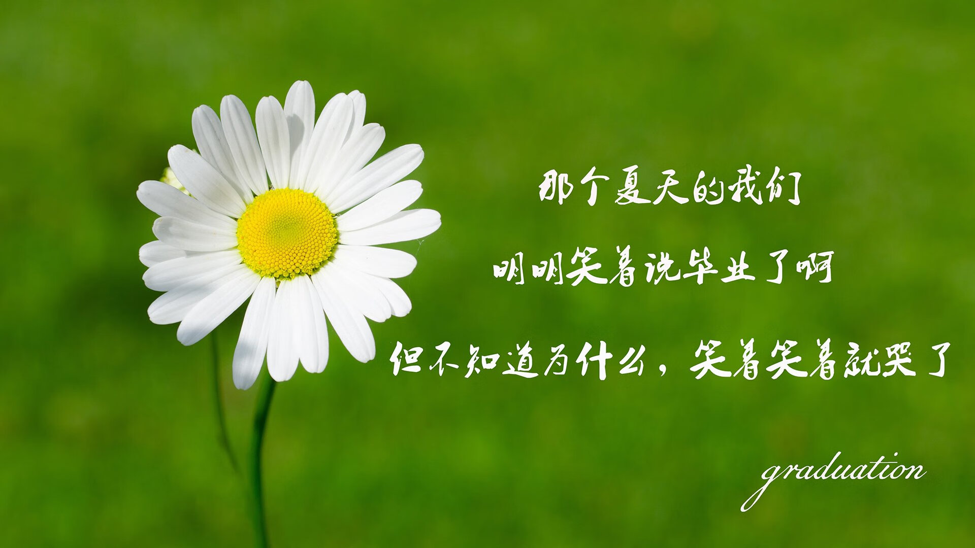 kaiyun体育app-“东安湖体育公园龙舟赛：队员齐心协力争夺荣耀”