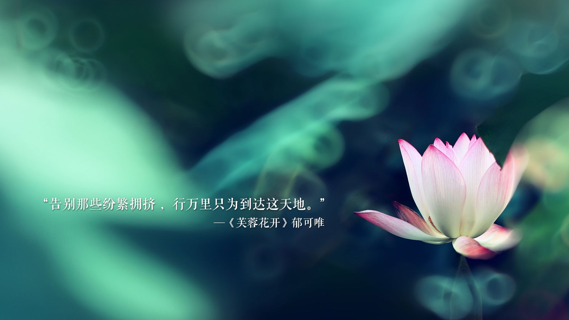 跳水表现出色突尼斯拿下高分,跳水史最尴尬0分