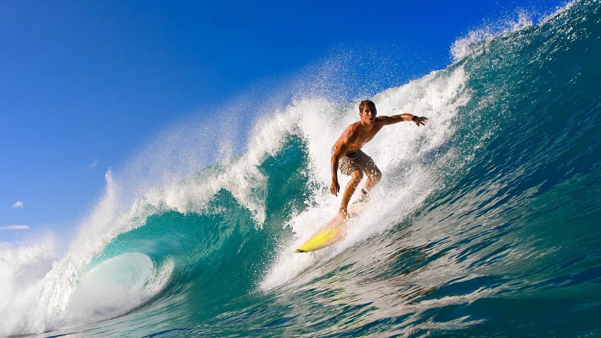 运动员的成长故事:从平凡到冠军,运动员的成长故事_从平凡到冠军的故事